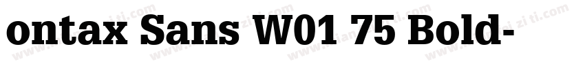 ontax Sans W01 75 Bold字体转换